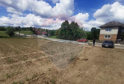 DE VANZARE TEREN INTRAVILAN ?omcuta Mare (0% comision) - 2