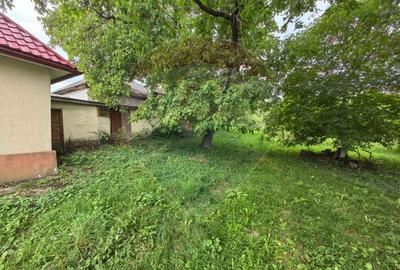 Casa traditionala De Vanzare cu 5 Hectare de teren - 8