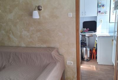 Inchiriem Garsoniera Moderna Semidecomandata Centrul Istoric - 3