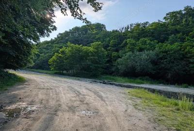 Sarata Bai- Oportunitate investi?ie- 4038 mp- priveli?te spectacol - 5