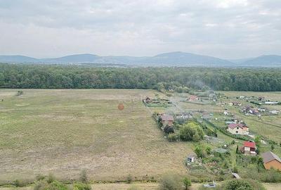 Teren Extravilan - 16