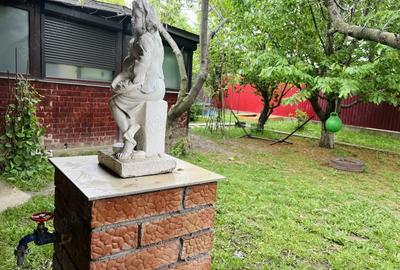 Casa Tandarei Ialomita Curte Garaj - 10