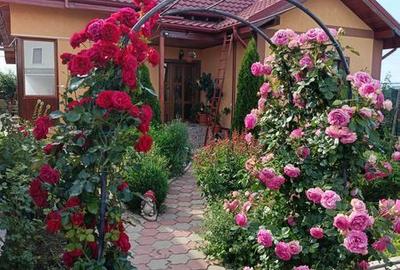 Casă cu 4 camere cu Teren 206 Mp în Chercea - 1