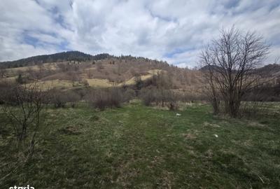 Spațiu comercial, de 560 mp, în Tulgheș - 3