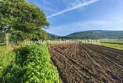 Teren de 4094 mp, în Șoimuș - 2