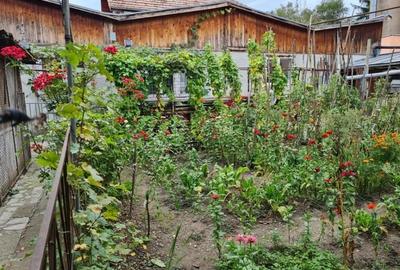 Proprietate individuala-3 apartamente,spatiu comercial,garaje,gradina,curte - 10