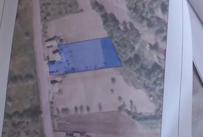 Spațiu comercial, în Jiblea Nouă - 16