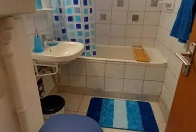Apartament cu 2 camere semidecomandat, mobilat în Timișoara - 7