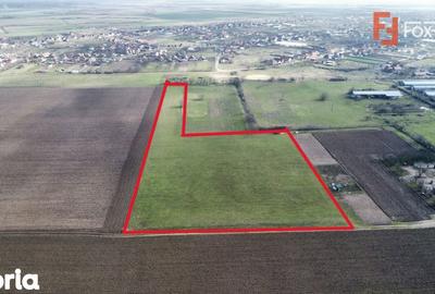 Teren de 20000 mp, în Pădureni - 2