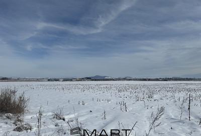 Teren Construcții intravilan de 425 mp, în Stupini - 4