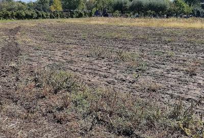 Teren de 1000 mp, în Grădinari - 2