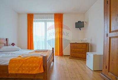 Hotel/Pensiune, de 2,950 mp, în Pănicel - 33