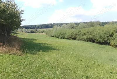 Teren de 4400 mp, în Mitocu Dragomirnei - 6
