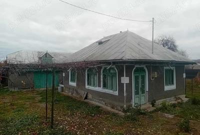 Casa Bodesti 50mp 2 camere bucataria anexe la sosea cu 1500mp teren lumina ,fintina cu apa - 3