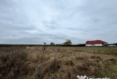 Teren de 2800 mp, în Satulung - 5