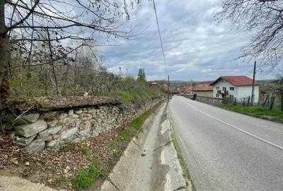 Vanzare teren intravilan - Runcu - oportunitate intr-o zona turistica deosebita - 8