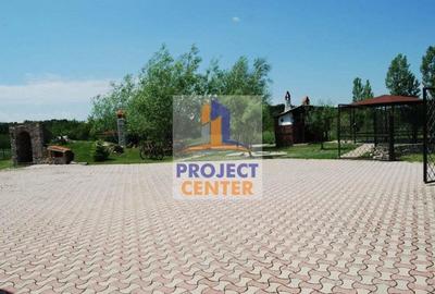 Vila 8 camere, lac, crama, 1600 mp teren, Vedea - 3