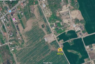 Teren Construcții intravilan de 589 mp, în Balotești - 2