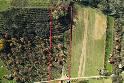 Teren 7744 mp la Coada Noului Lac de Agrement Baile Felix - 4