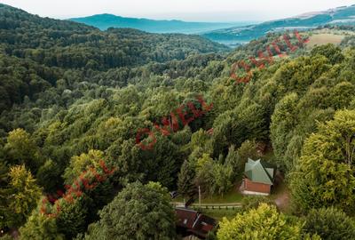 PROMOȚIE!!! De vânzare o casă de vacanță situat în Sovata pe strada Vânătorilor! - 13