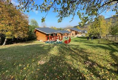 Complex turistic cu 5 cabane de vânzare în comuna Pianu Complex turistic cu 5 cabane de vânzare în comuna Pianu - 1