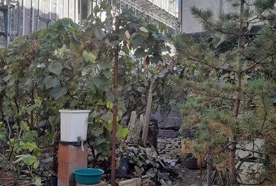 Teren de vanzare Herastrau Nordului COMISION 0% - 6