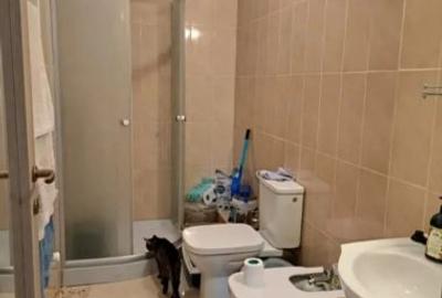 Apartament cu 3 camere decomandat, mobilat în Valea Adâncă - 3