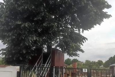 Casă cu 5 camere cu Teren 2500 Mp în Central - 2