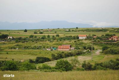 Spațiu comercial, în Daia