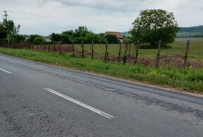 Teren de 11780 mp, în Merei - 6