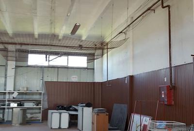 Spațiu comercial, de 7,500 mp, în Ciolpani - 3