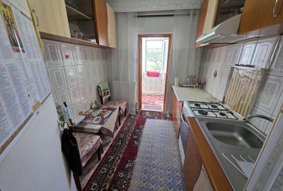 Apartament cu 2 camere, mobilat în Dacia - 7