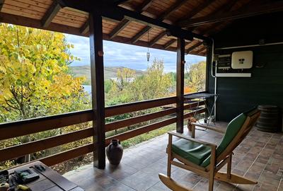 Casă cu 5 camere cu Teren 7017 Mp în Pruni - 9