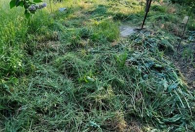 Casă cu 3 camere cu Teren 1550 Mp în Berceni - 16