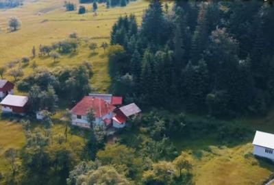 Casă cu 3 camere în Vidra - 3
