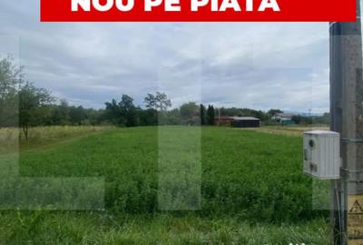 Teren de 1080 mp, în Dobolii de Jos - 1