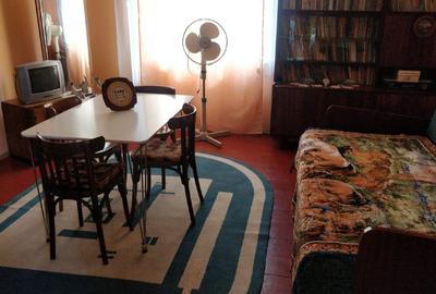 Casa din bârne de lemn, 3 camere, Stațiunea Cacica, SU 117mp,882 mp teren - 10