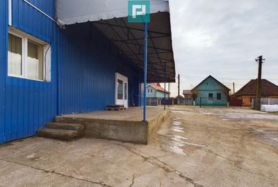 Depozit frigo de inchiriat in Sacalaz - 21