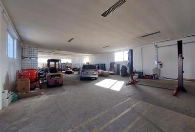 Hala de depozitare in Arad Sud - 2