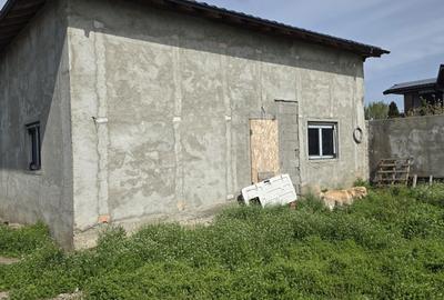 Casă cu 4 camere în Radu Negru - 3