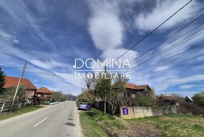 Teren de 6504 mp, în Curtișoara - 4
