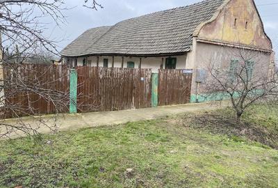 Casă cu Teren 863 Mp în Periam