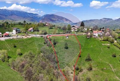 Comision 0% I Peisaj spectaculos | Utilita?iITeren intr... - 4