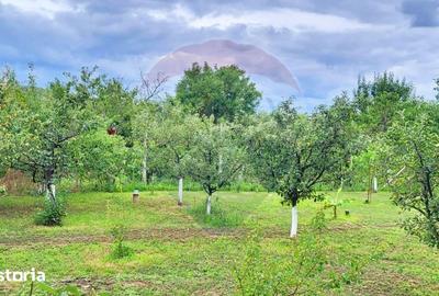 Casă cu 3 camere cu Teren 1237 Mp în Ghioroc - 1