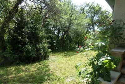 Casă cu 2 camere în Breaza - 10