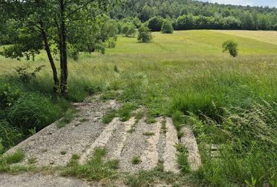 Casă individuală cu 1 camere cu Teren 5600 Mp în Lisnău - 4