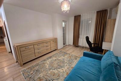 Apartament 2 camere curte proprie Biruintei - 12