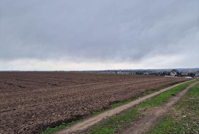 Teren 10,000mp Bacau / Strada Alexandru Safran - 8