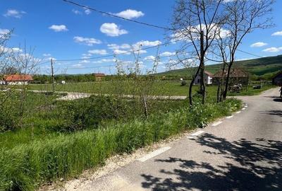 Teren de 1250 mp, în Răscruci - 6