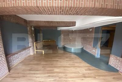 Cladire comerciala, 377 mp, zona Bulevardul Gheorghe Chitu - 23